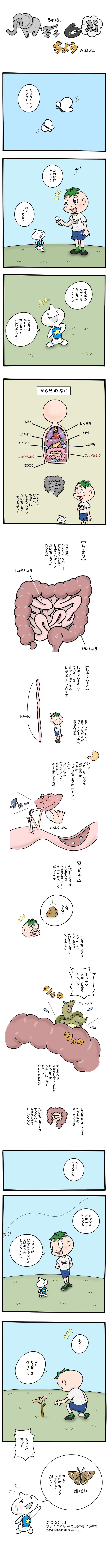 ちょう【五臓六腑】