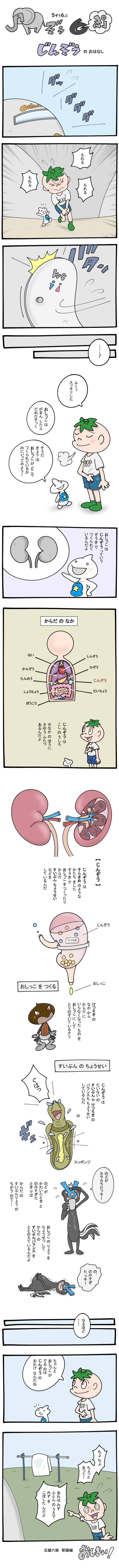 じんぞう【五臓六腑】